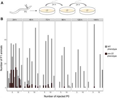 CRISPR/Cas9 mediated gene editing in non-model nematode Panagrolaimus sp. PS1159